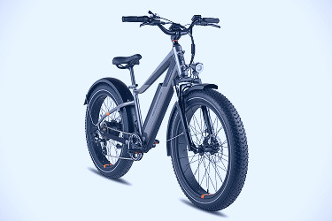 Rad Power Bikes reveals more user-friendly next-gen e-bike RadRover 6 Plus  for $1,999 | TechCrunch